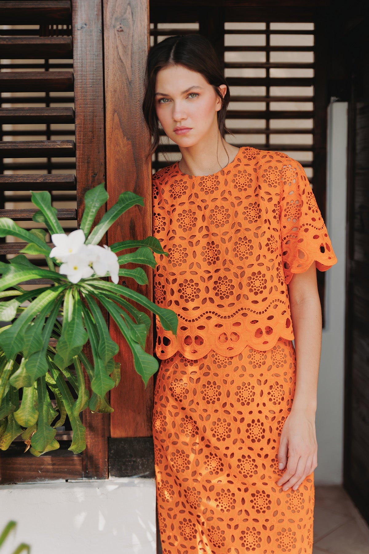 FALDA RECTA OJALILLO